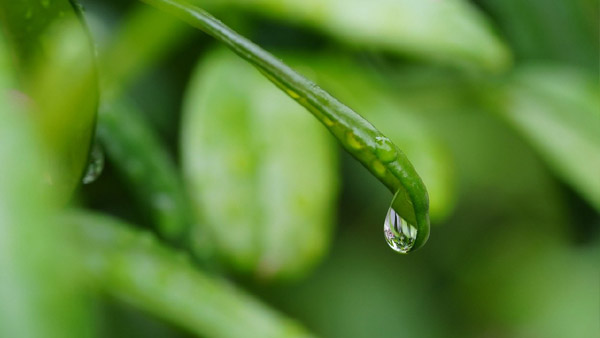 山東元琿環(huán)保科技有限公司網站全新改版